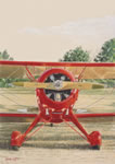 "Red Bird" - Sam Lyons - Waco UMF-5 Aviation Art